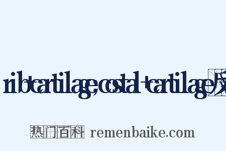 rib+cartilage;costal+cartilage反义词是什么意思的图片